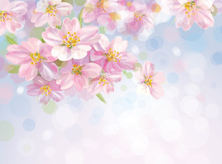 Vector of sping blossoming  tree with sky background