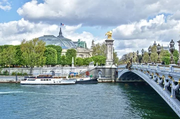 Foto op geborsteld aluminium Pont Alexandre III Paris - Grand Palais et Pont Alexandre III