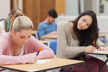 Fototapeta na wymiar Brunette próbuje skopiować blond studenta w egzaminie