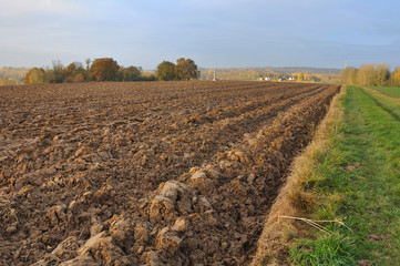 terre agricole