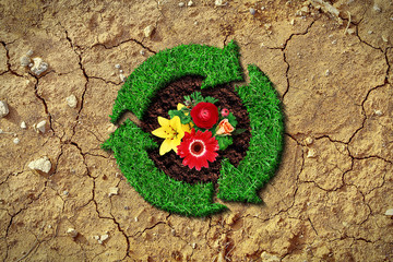 Eco concept - grass recycle sign on a cracked ground