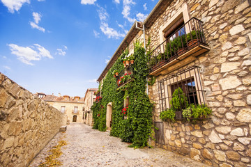 Fototapeta na wymiar House covered with ivy in Pedraza, Segovia (Castilla y Leon), Sp
