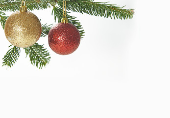 Christmas ornament hanging on pine