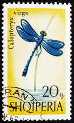 Postage stamp Portugal 1966 Blue Dragonfly, Calopteryx Virgo
