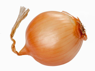 Onion