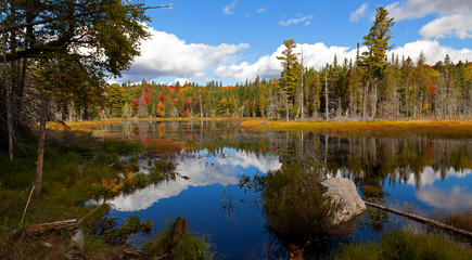 Algonquin Provincial Park