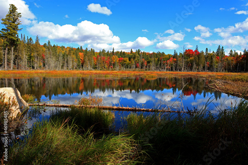 the concept and effects of tourism in algonquin a provincial park in canada the concept and effects of tourism in algonquin a provincial park in canada
