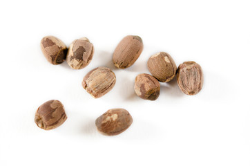 lotus seeds on white