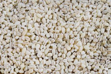 pearled barley