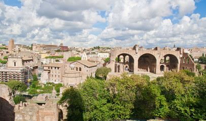 Obraz premium Basilica of Maxentius and Constantine in Roman Forum, Rome