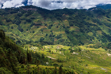 Obraz premium Green valley landscape