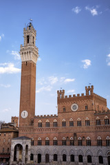 Fototapeta na wymiar Piazza del Campo w Sienie, Toskania, Włochy