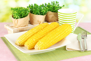 boiled corn on the pink table cloths on the background of