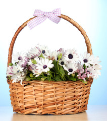 Fototapeta na wymiar Bukiet pięknych kwiatów letnich w koszyku,