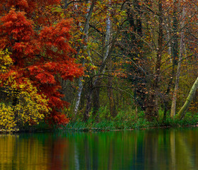 River corner in Autumn