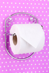 Roll of toilet paper on  holder fixed to wall