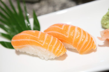 Salmon Sushi
