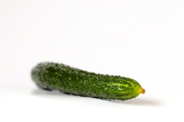 Cucumber