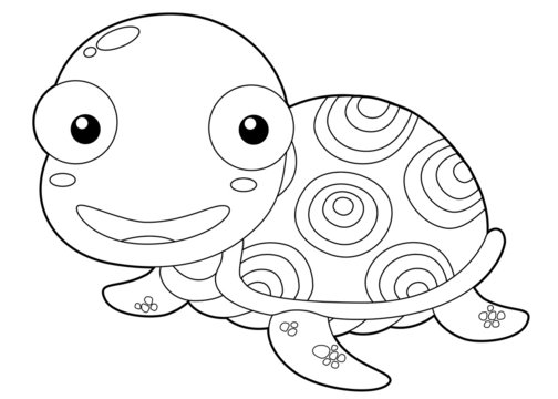 illustration of Cartoon turtle outline