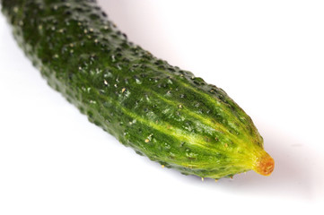 Cucumber