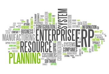 Word Cloud "Enterprise Resource Planning"