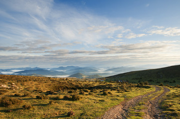 meadows and blue sky at dawn