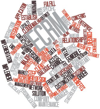 Word cloud for ECRM