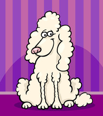 poodle dog cartoon illustration