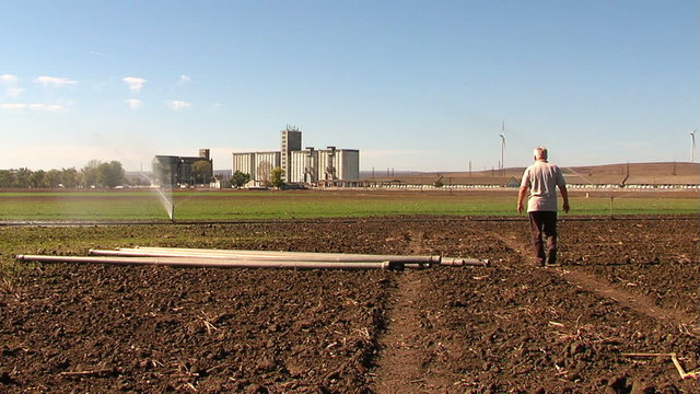 Crop irrigation ...