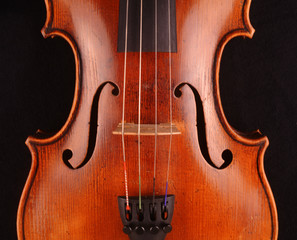 Geige dunkles Holz