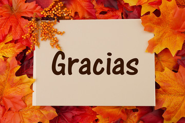 Gracias card with fall leaves