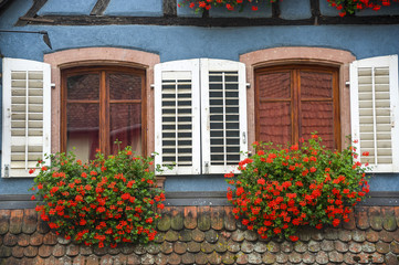 Fototapeta na wymiar Ribeauville (Alsace) - House