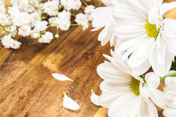 Fototapeta na wymiar Białe chryzantemy kwiaty
