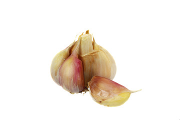 Garlic bulb isolated
