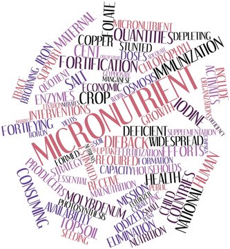 Word Cloud For Micronutrient