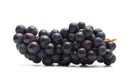 the cluster of grapes