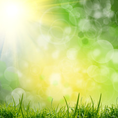 Obraz premium green natute background