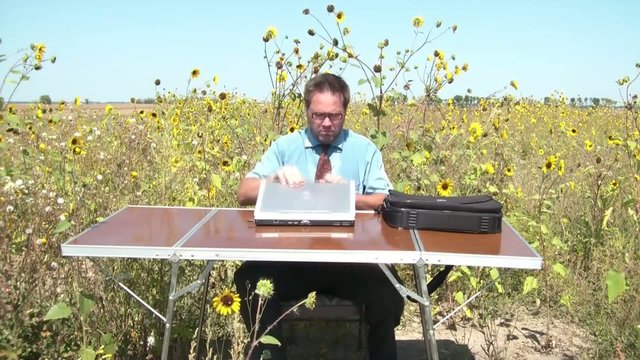 Businessman in Office Outside in Sunflower Field