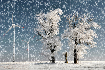 Winter tree with wind turbine
