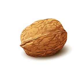 Obraz premium Walnuss