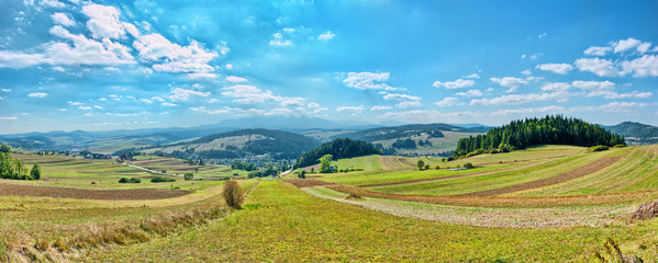 Panoramic landscape in Pieniny mountains