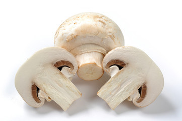 Fototapeta na wymiar Mushrooms isolated