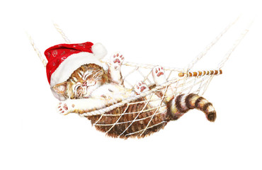 K&auml;tzchen mit Weihnachtsm&uuml;tze schl&auml;ft in H&auml;ngematte