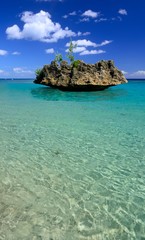 Fototapeta premium Coral rock island off the coast of Mauritius