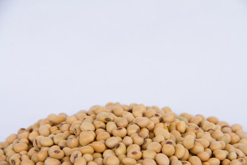Image of close up of soya beans background