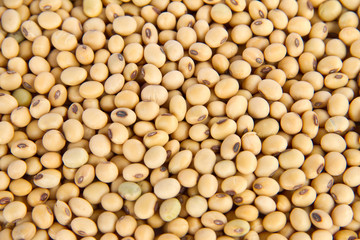 Image of close up of soya beans background