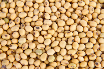 Image of close up of soya beans background