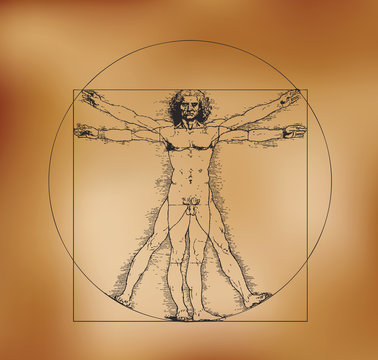 Vitruvian man with crosshatching and sepia tones