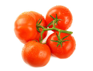 Tomatoes