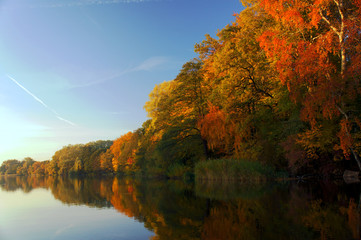 Obraz premium Las nad jeziorem jesienią